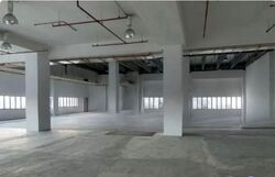 ELEMENT 14 (D19), Factory #565577321
